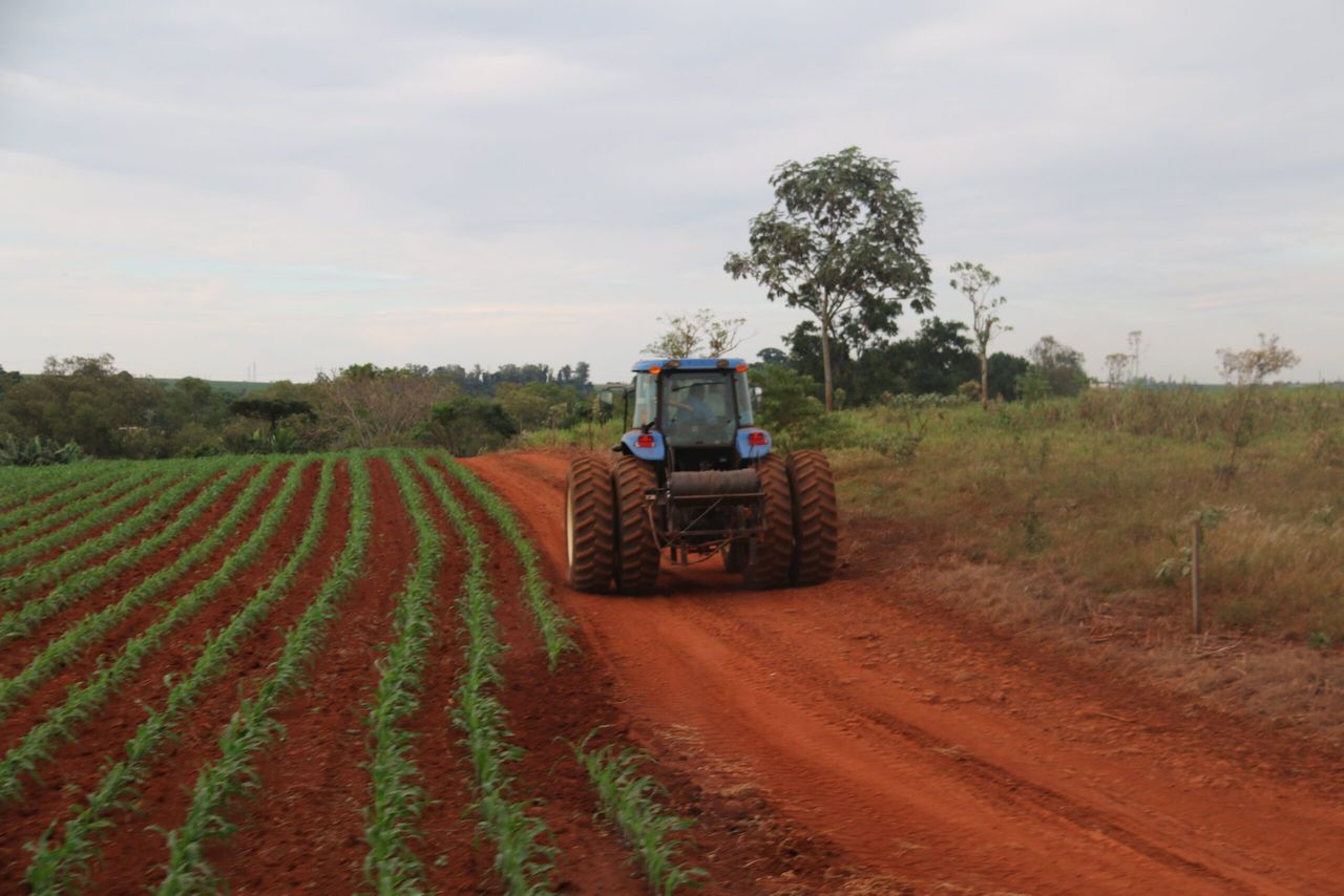 6 things you need to know about Brazilian agriculture