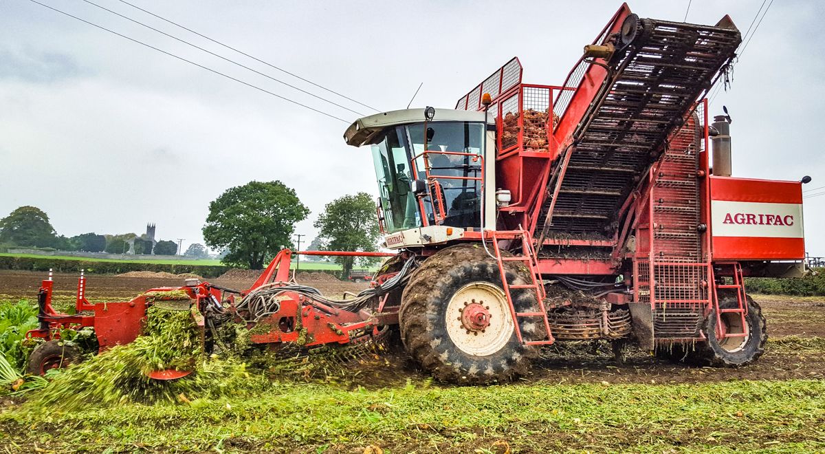 Video: Machinery punters 'beet' a path to working demo
