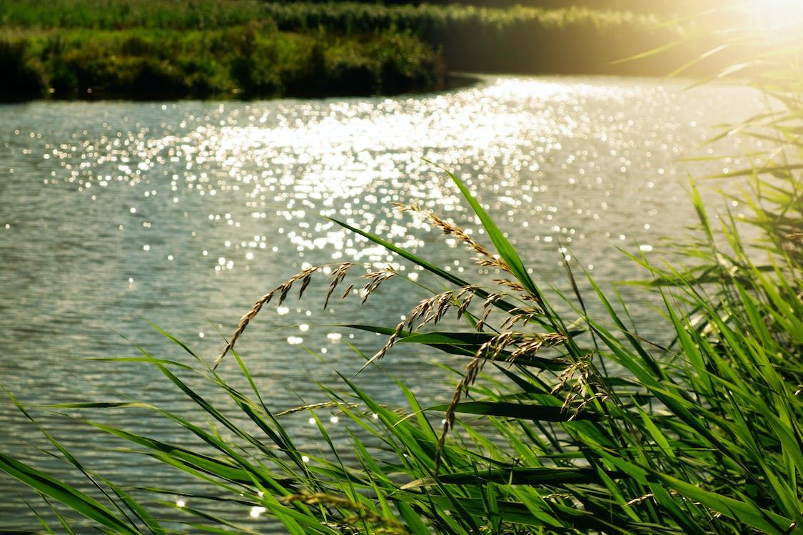 NI water quality targets will not be met – report
