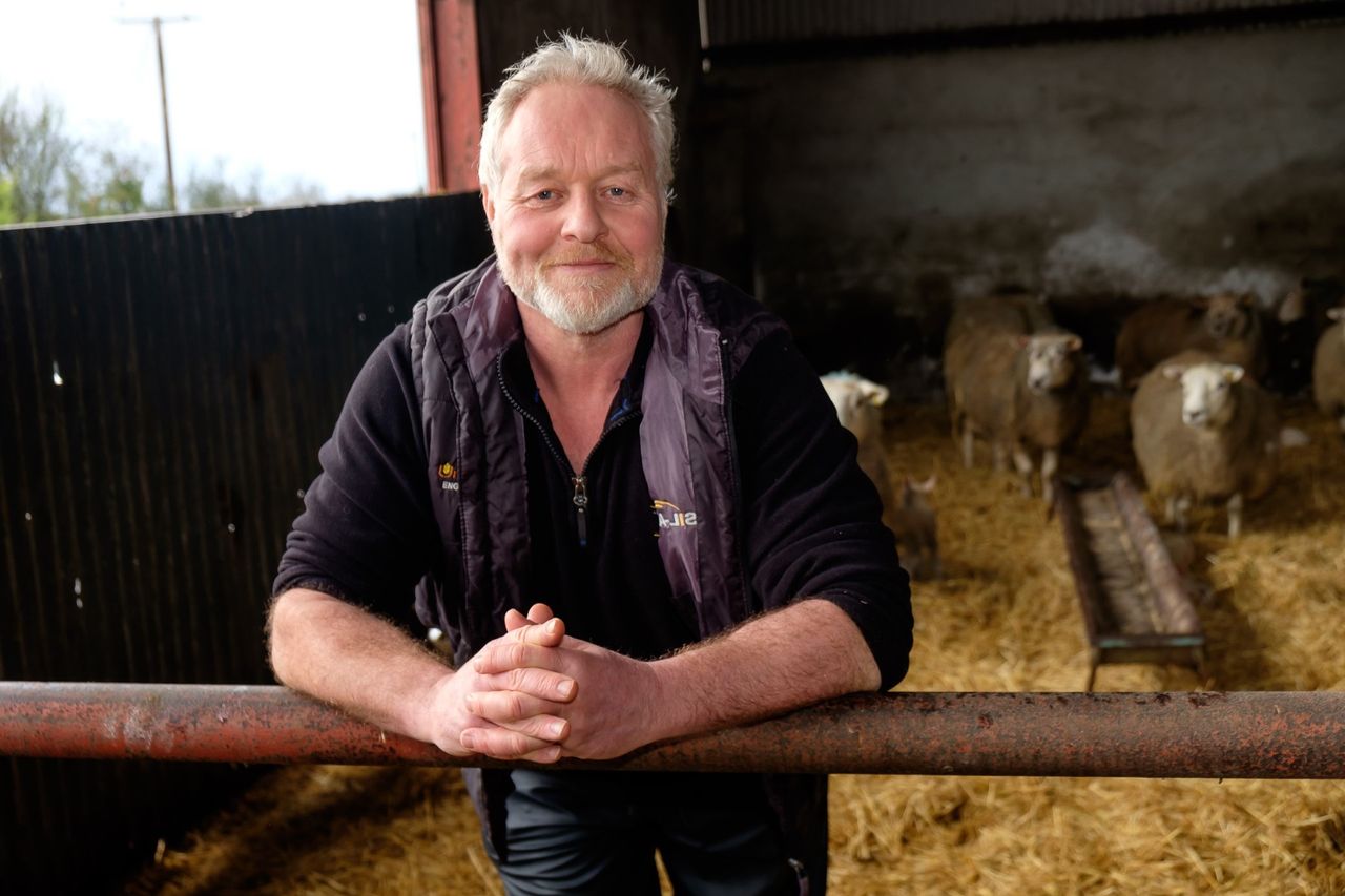 NI farmers join 7-year M&S net zero initiative
