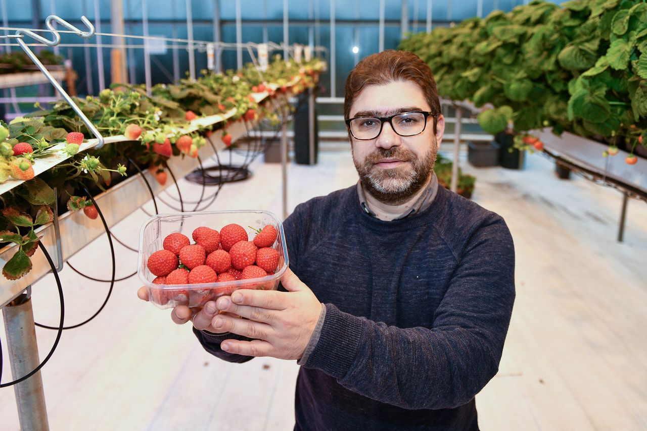 CAFRE to launch NI’s first horticulture honours degree course