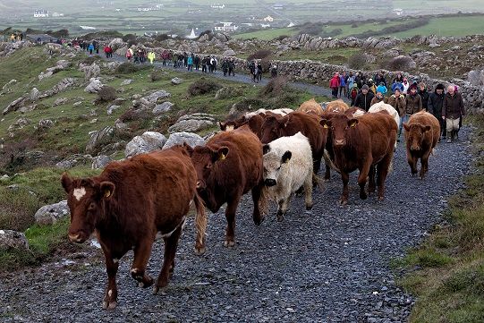 The rocky road through Burren