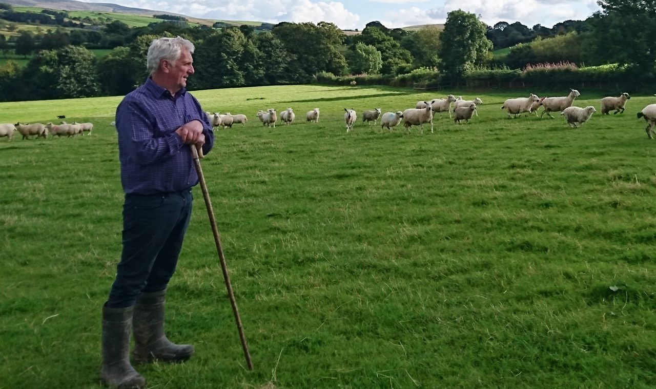 ‘No-deal’ technical notes offer little comfort for Welsh farming