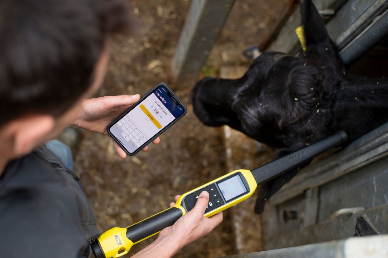£12m investment for livestock management app Breedr