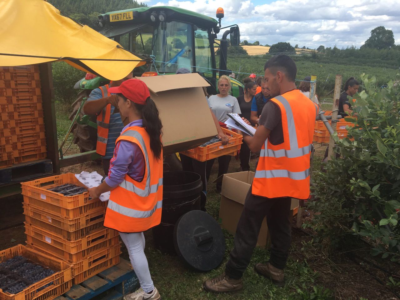 Growing champions in the next generation of fruit-pickers