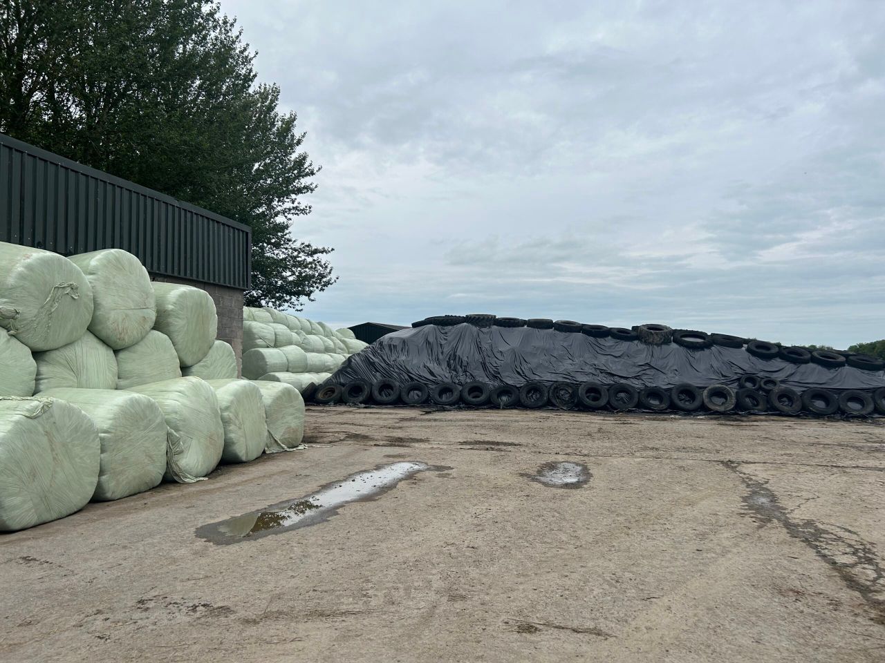 The influence of first cut silage test results