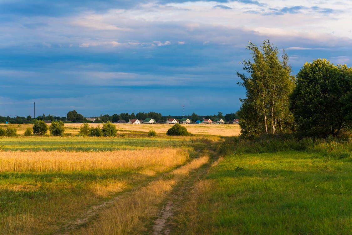 New report confirms Defra underspent agri budget by over £300m