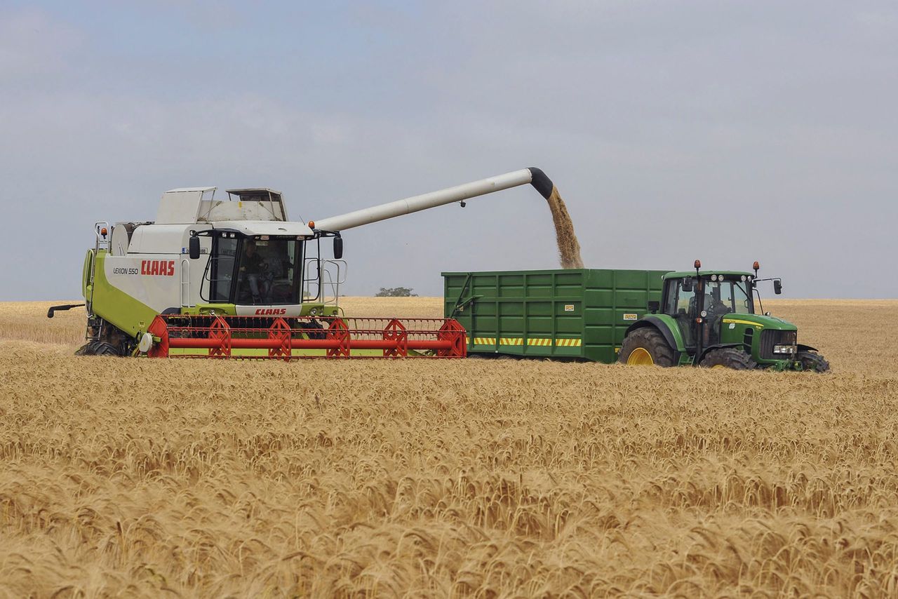AHDB: Cereals supply and demand estimates for 2024/2025