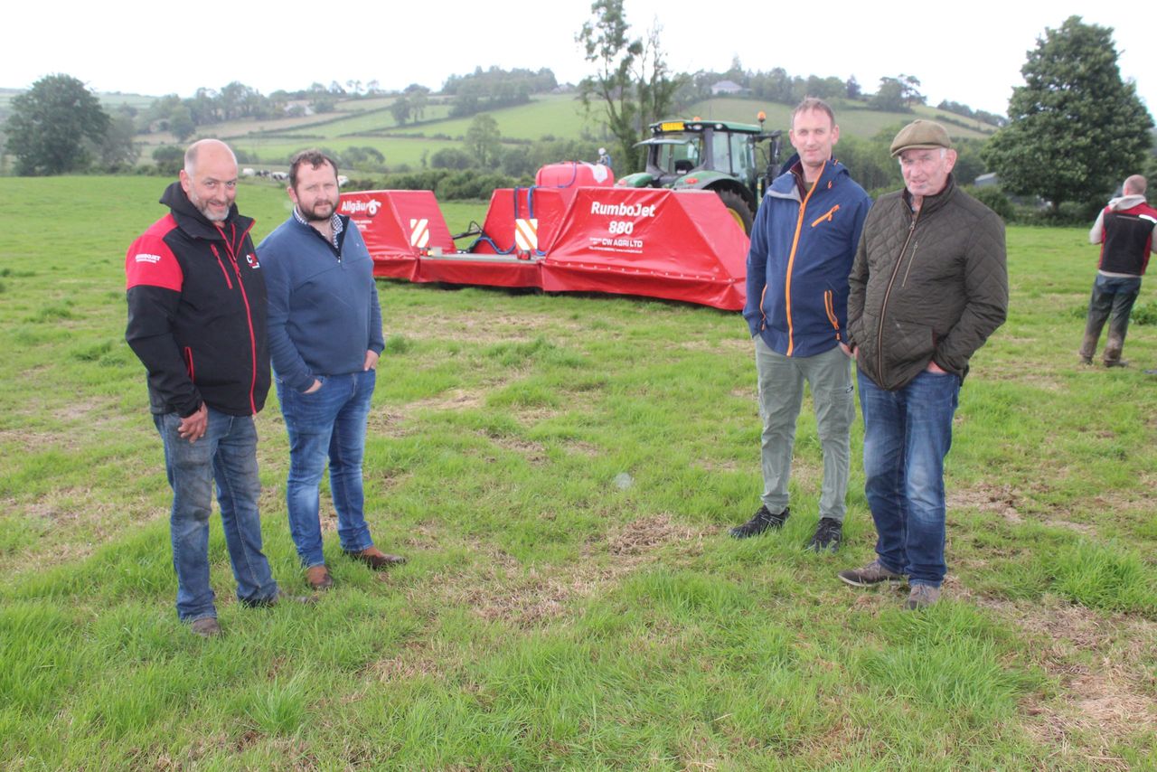 Broadleaf weeds reportedly a challenge for NI grasslands in 2026
