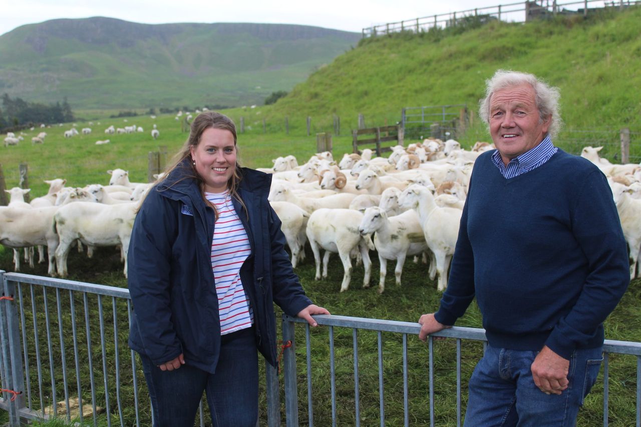 Genomics ‘can deliver positive change’ for sheep sector – specialist
