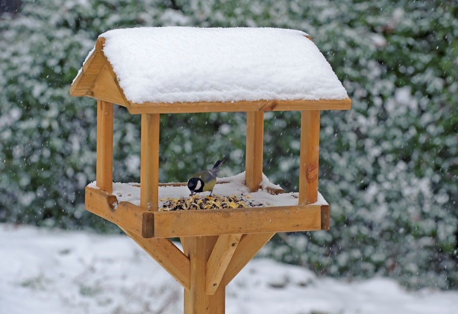 A Christmas feast for your garden birds