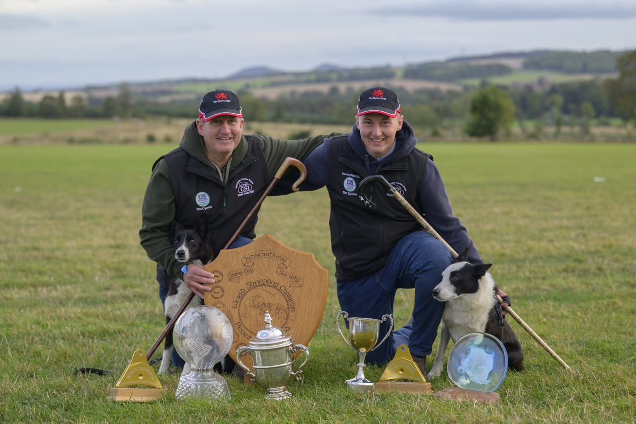 Welsh father and son make history at Sheep Dog World Trial