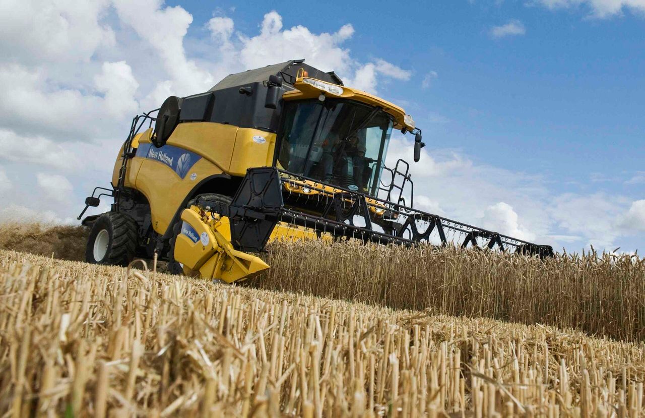 Higher wheat supplies; lower corn and oilseeds production – WASDE