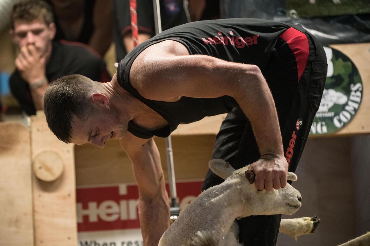 Staffordshire shearer prepares to set World Shearing Record