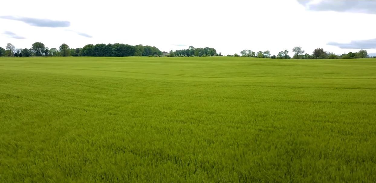 New working group launched to support tenant farmers