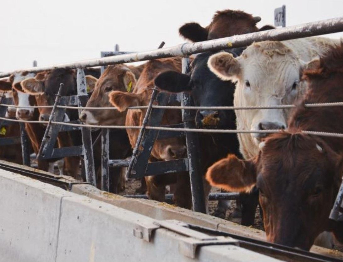 U.S to provide $215m in grants to expand meat and poultry sectors