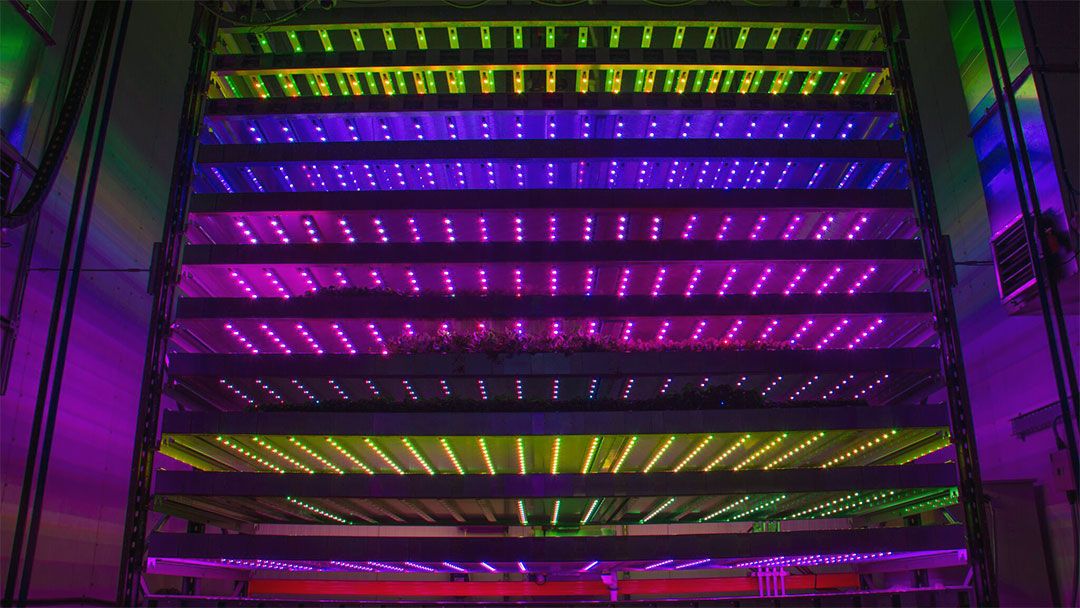 Vertical farming firm awarded £5.4 million funding