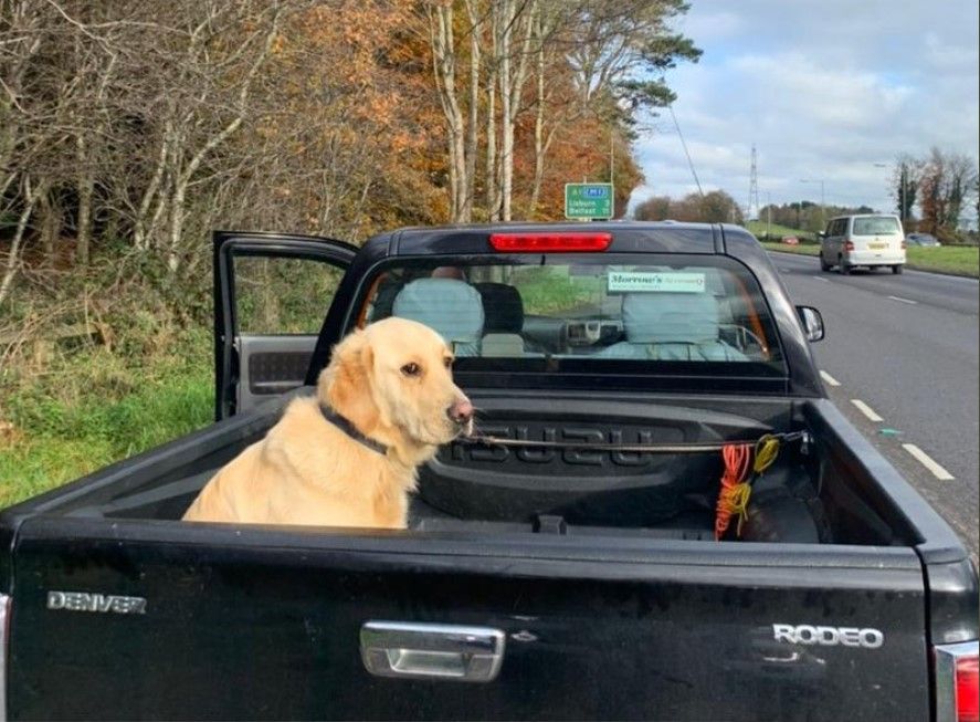 Driver with ‘insecure load’ in the doghouse with the law