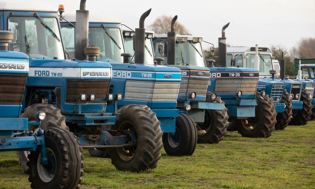 Auction report: TW mania at massive ‘on-site’ sale