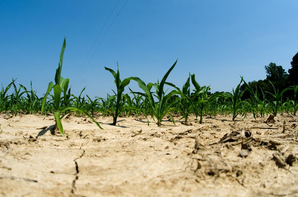 UN: July 2022 was among warmest on record