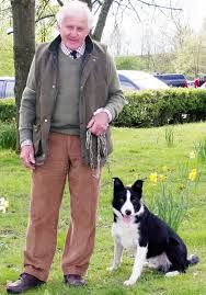 Sheepdog bob sells for world record sum