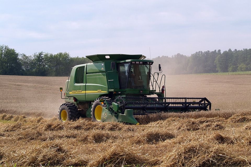 Wheat prices up 5.2% as Black Sea concerns grow