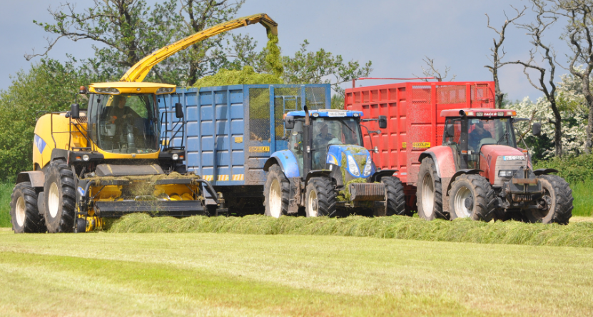 How much will it cost to get your (pit) silage cut?