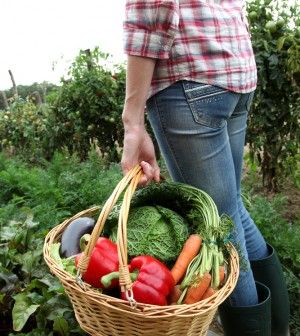 The steps involved in converting to organic farming