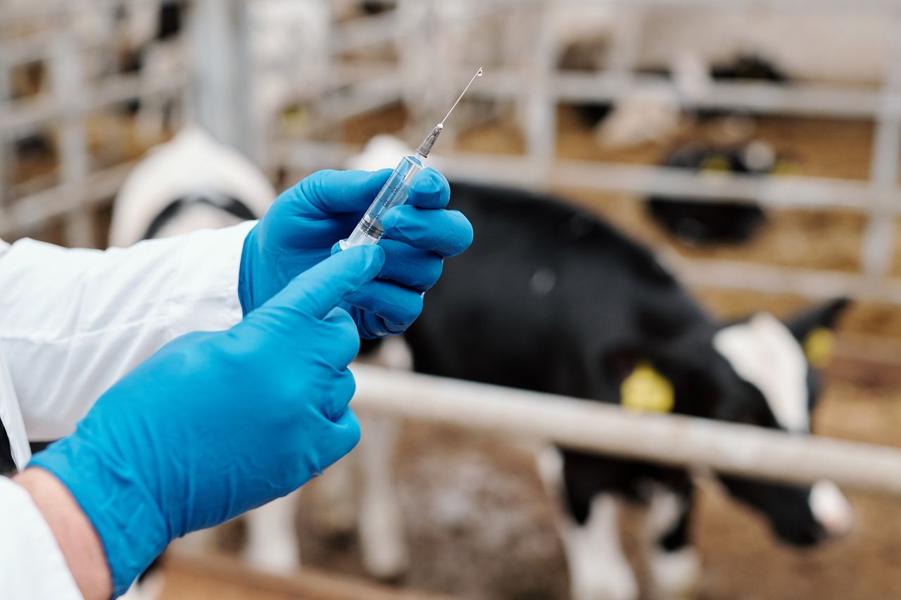 Antibiotic usage within UK agriculture continues to fall