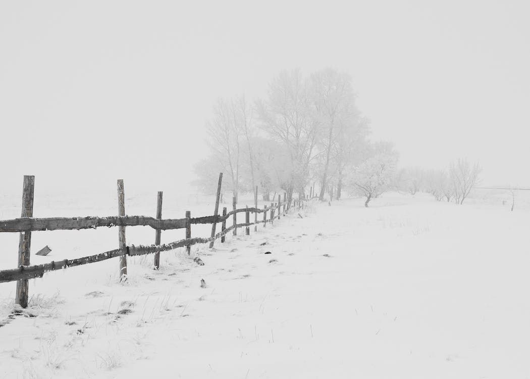'Blizzard conditions' likely in England, Wales and NI
