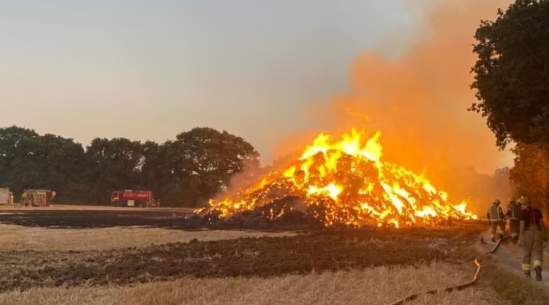 Firefighters tackle blaze of 800t of straw bales in Hampshire
