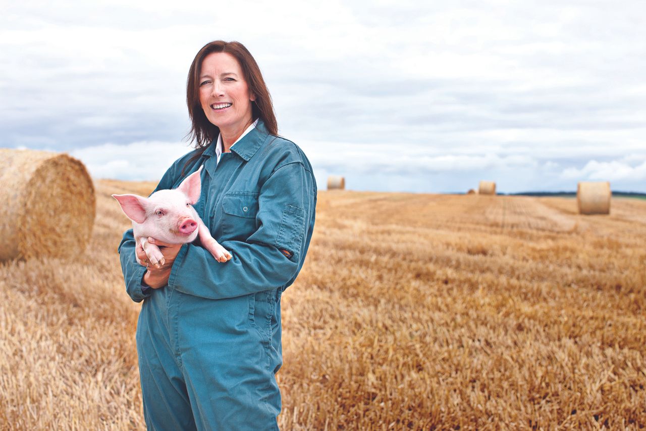Scottish pig industry unites to eradicate endemic disease