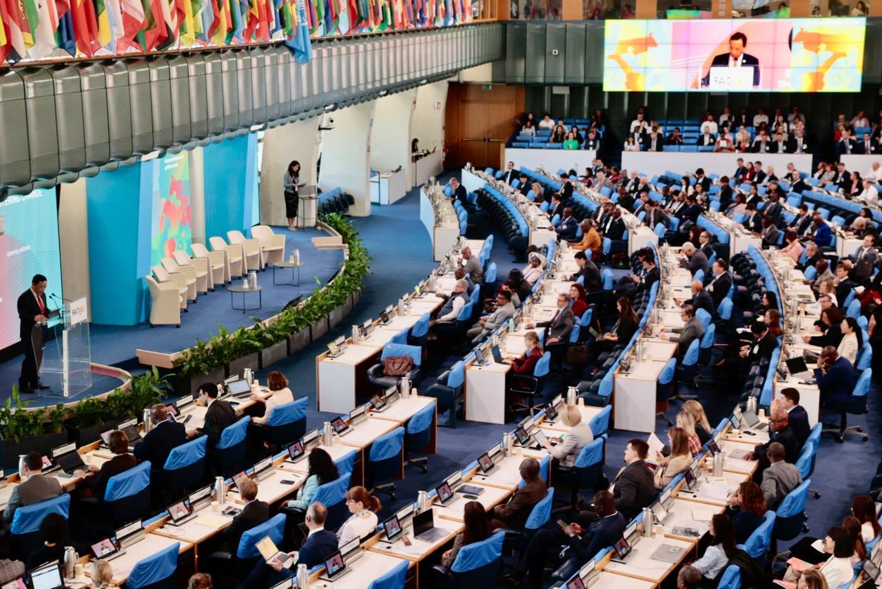 Global conference on sustainable livestock transformation