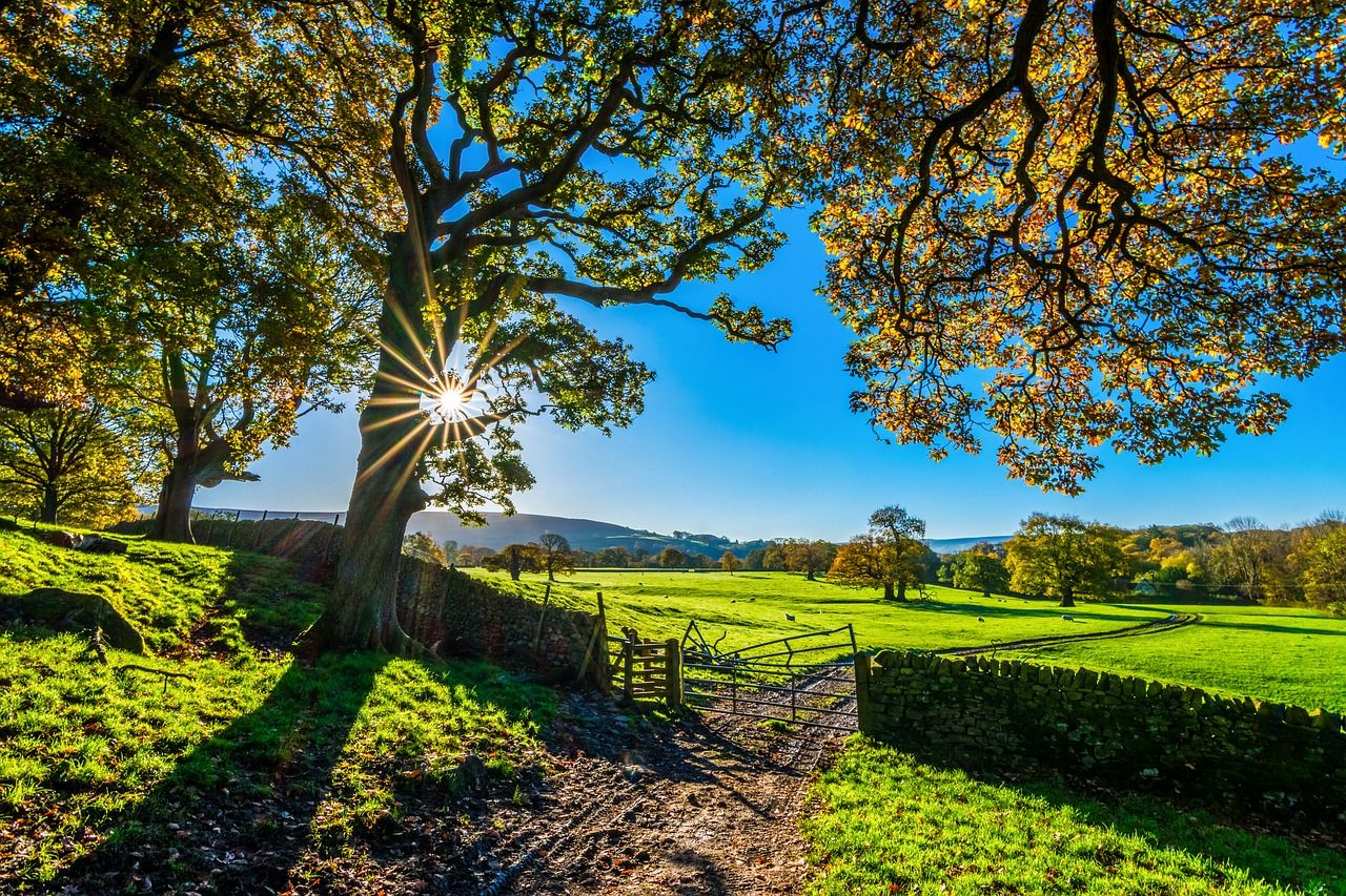 Report recommends Land Use Analysis Taskforce for UK