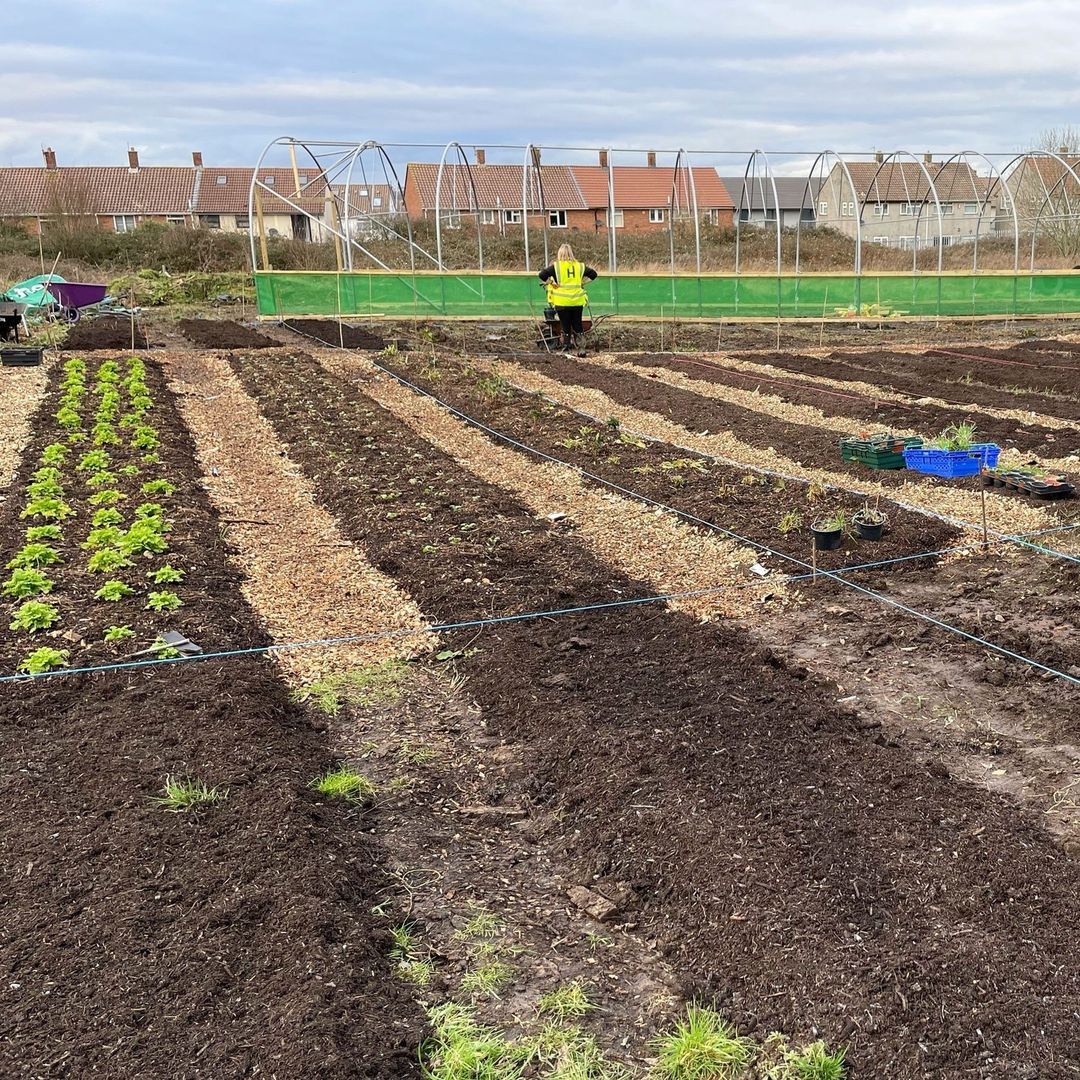 Bristol city farm to benefit from £2.2m funding