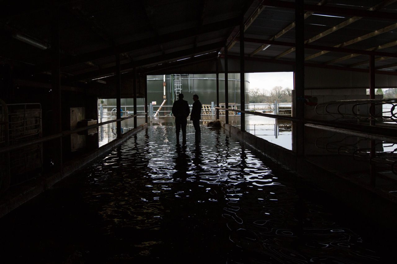 A Voluntary Farmyard Relocation Scheme could be on the cards