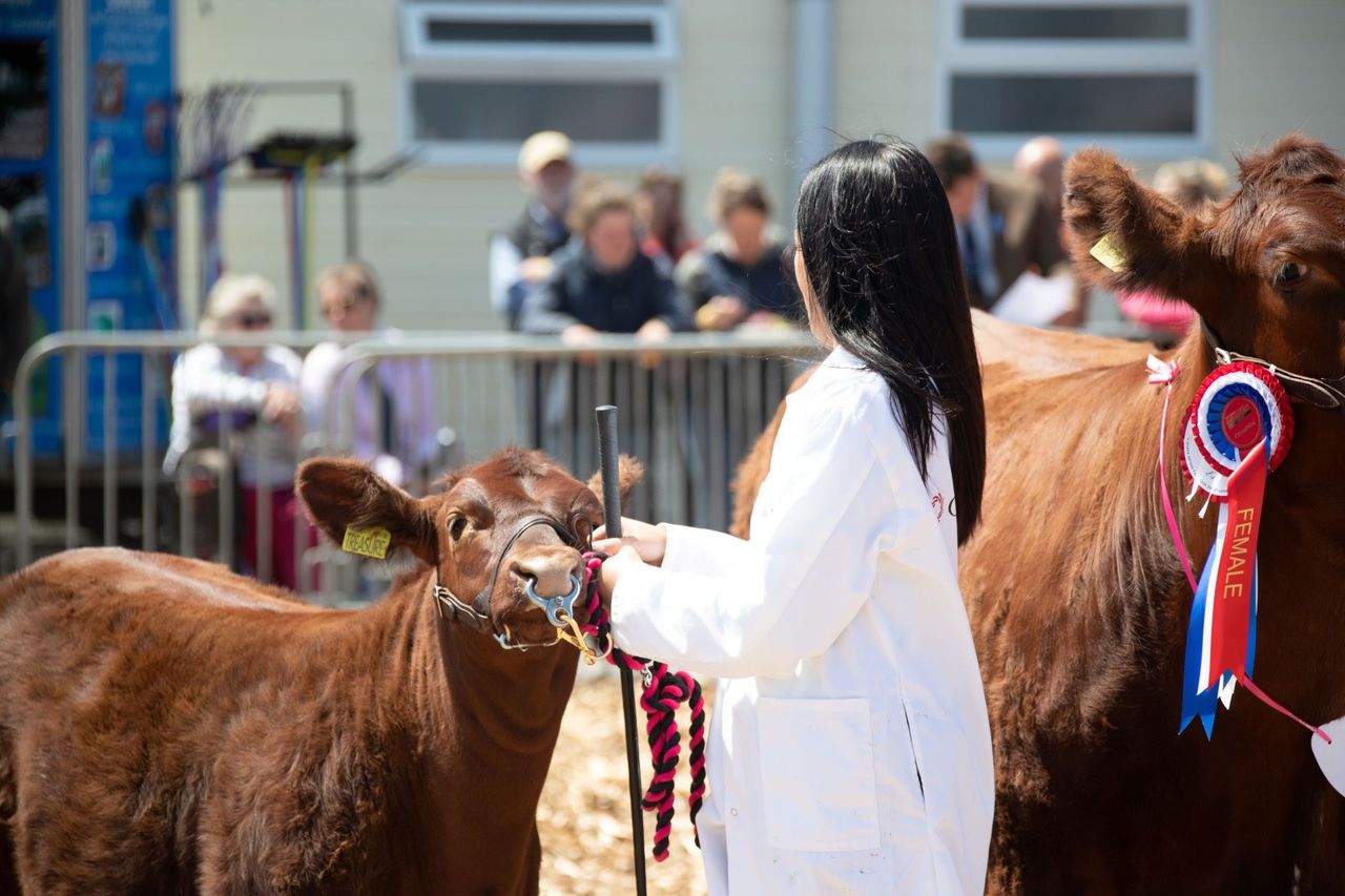 Royal Bath & West Show to feature 'wide range of livestock'