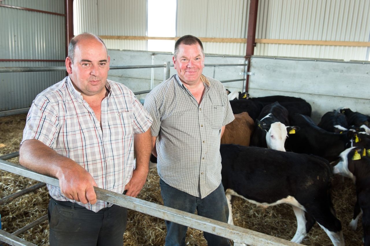 Countdown on to the NI Beef Expo – NI’s biggest technical beef event
