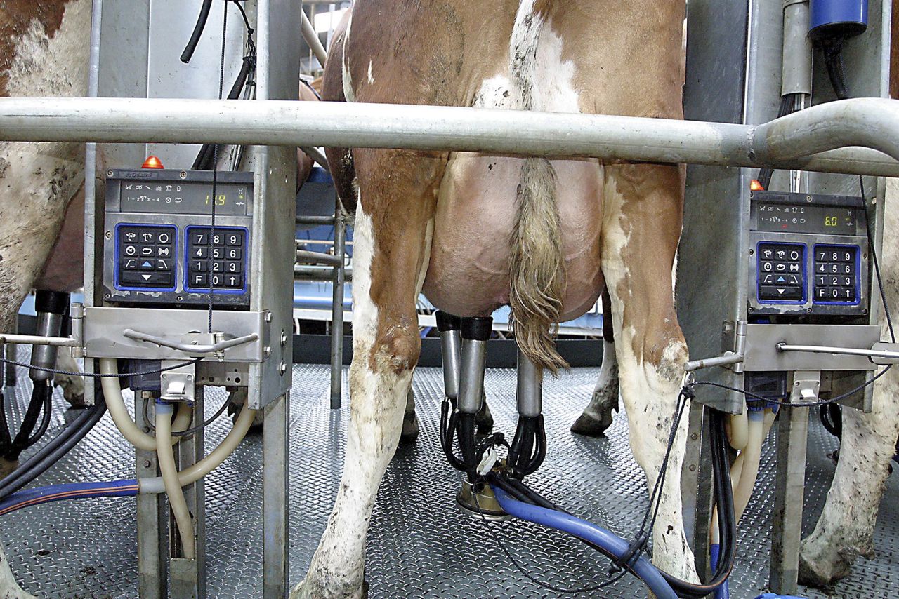More EU milk channelled into skim milk powder and butter