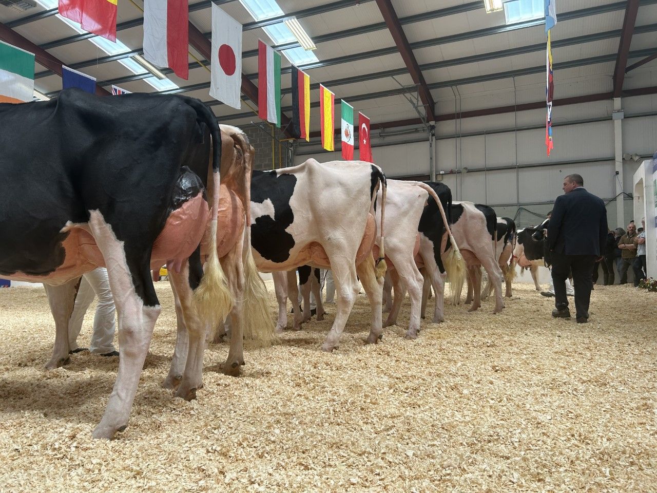 Emerald Expo title goes to Co. Wexford breeders