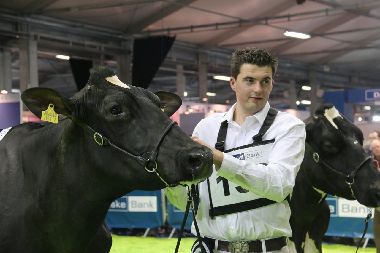 McCormick family takes centre stage at the Royal Ulster Winter Fair
