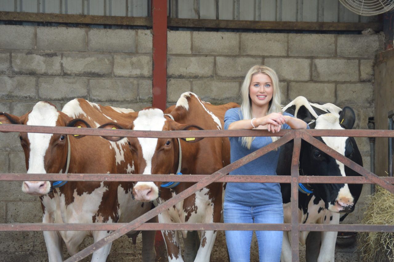 All Breeds All Britain Calf Show judges confirmed for 2019