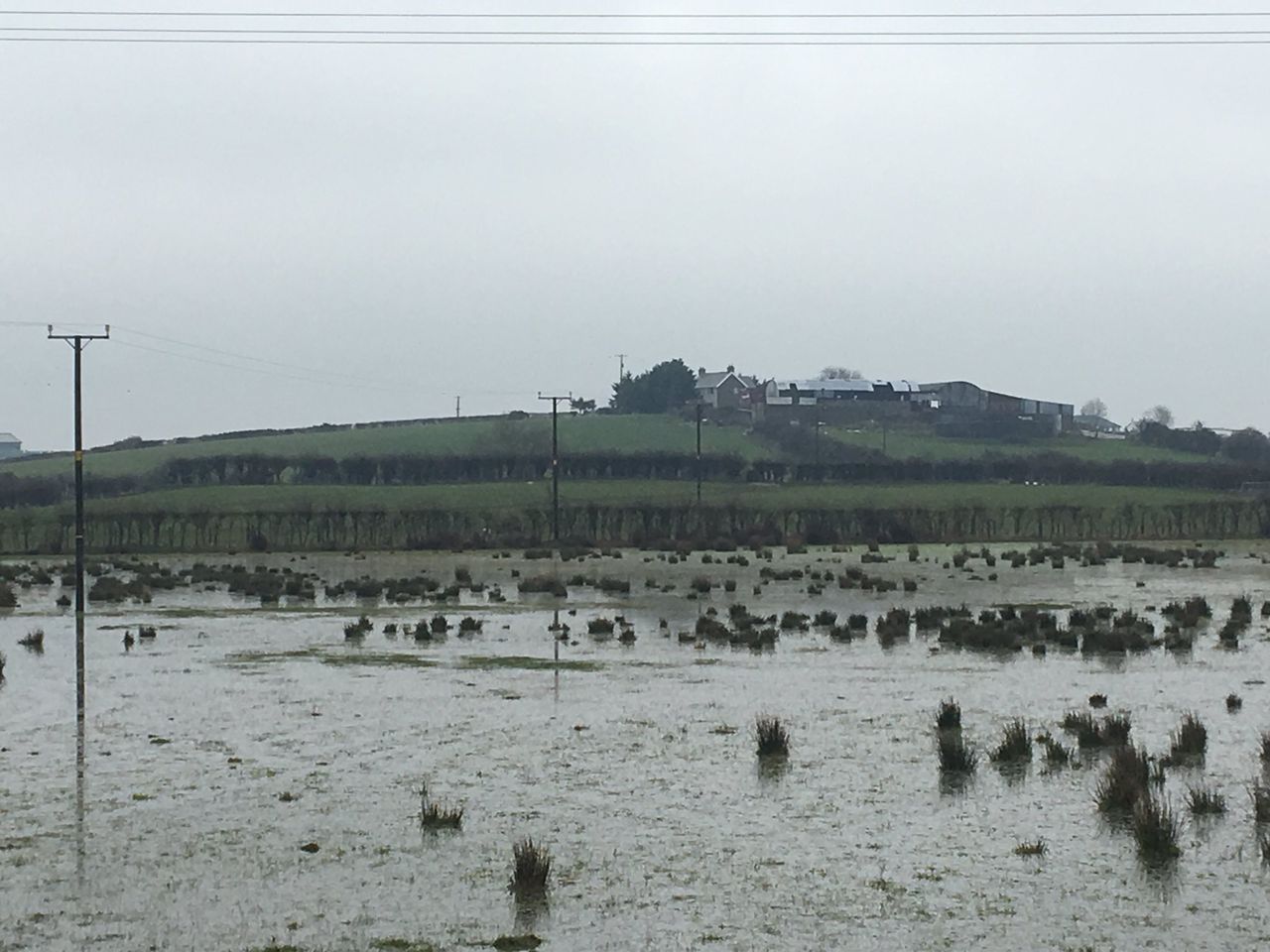 Tree planting could soak up Tyrone floodwater