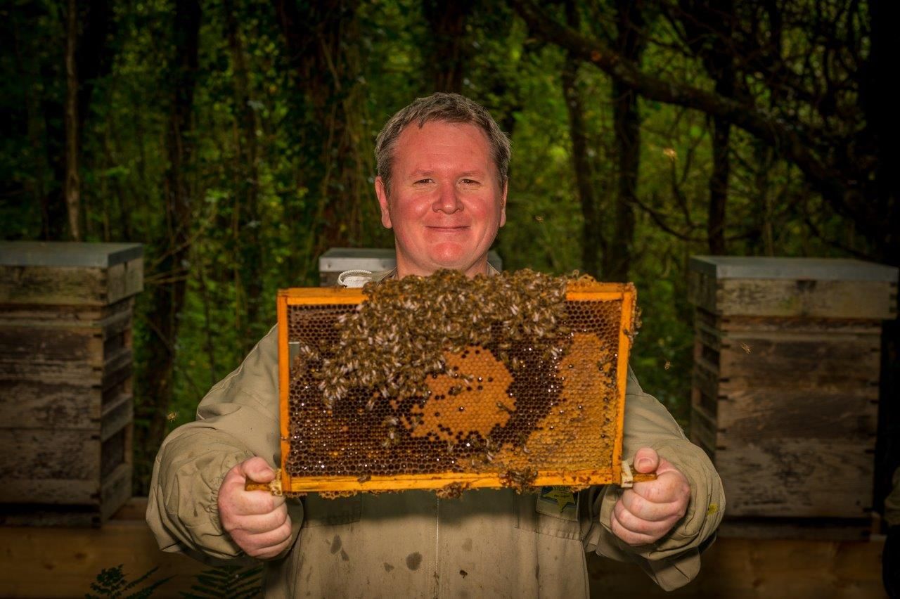 Prestigious sustainability award is won by a Welsh bee farm