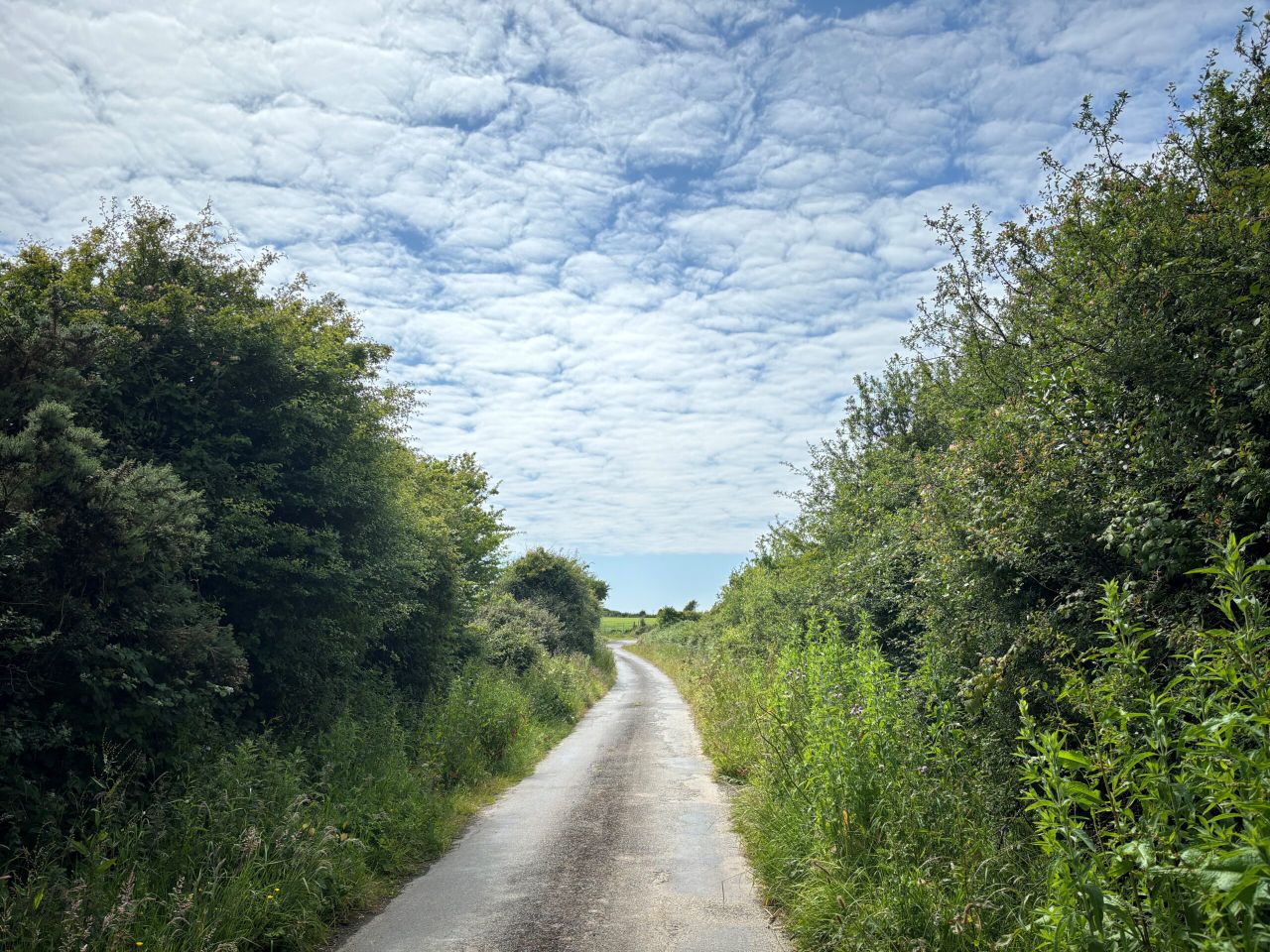 Call for ‘more robust’ response to illegal dumping