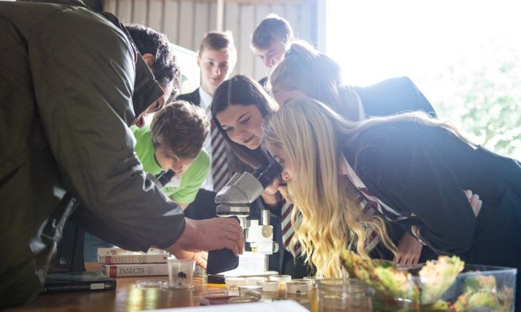 8 ambassadors appointed to support participants at LEAF Open Farm Sunday