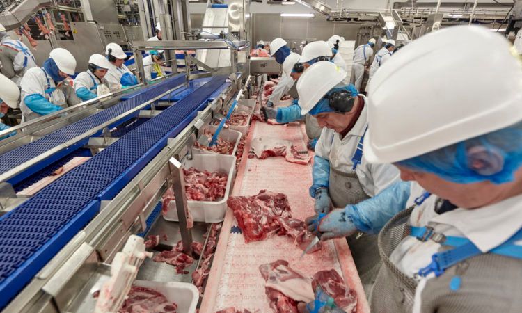 Cranswick Country Foods: Company growth is ‘ahead of previous expectations’
