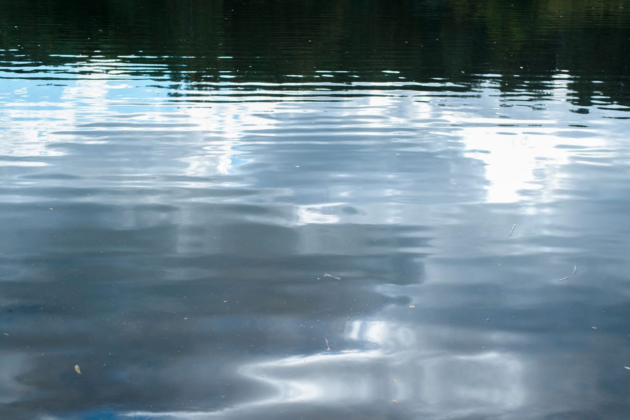 DAERA being investigated over Belfast Lough sewage discharges