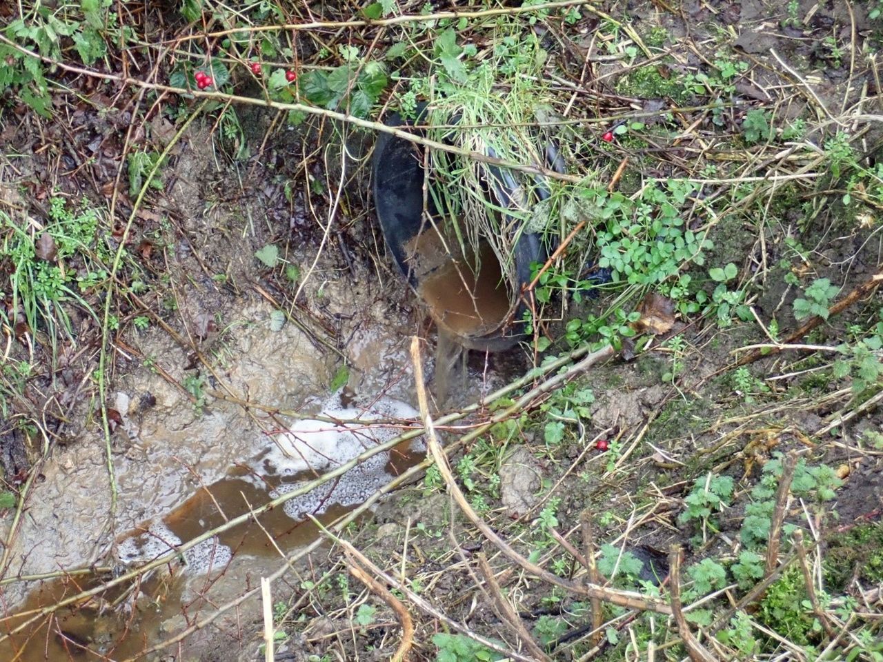 Dairy farmer ordered to pay over £2k after slurry entered brook