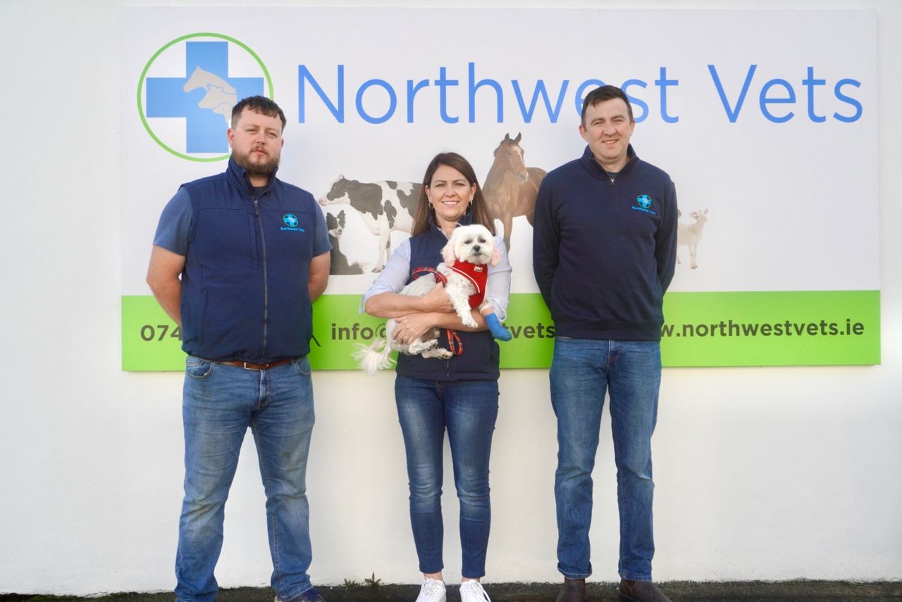 New Donegal vet practice aims to help with out-of-hours cover